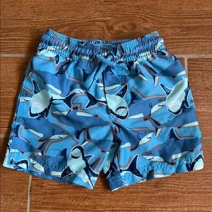 2T Swim Trunks